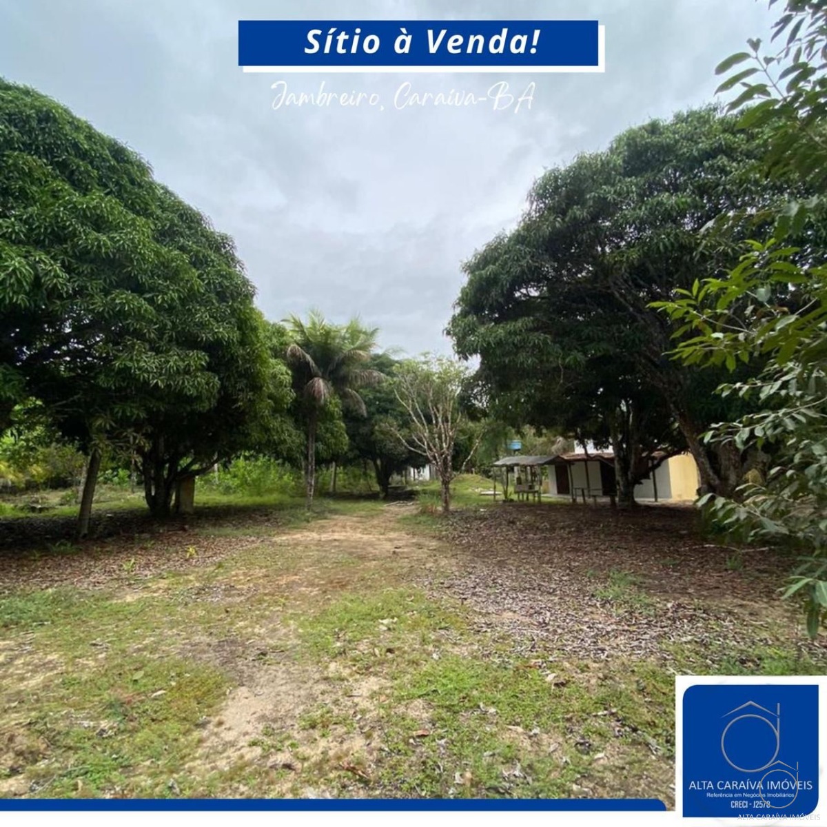 Sítio à venda em caraíva